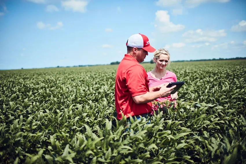 Two people standing in a soybean field reviewing information on a tablet.