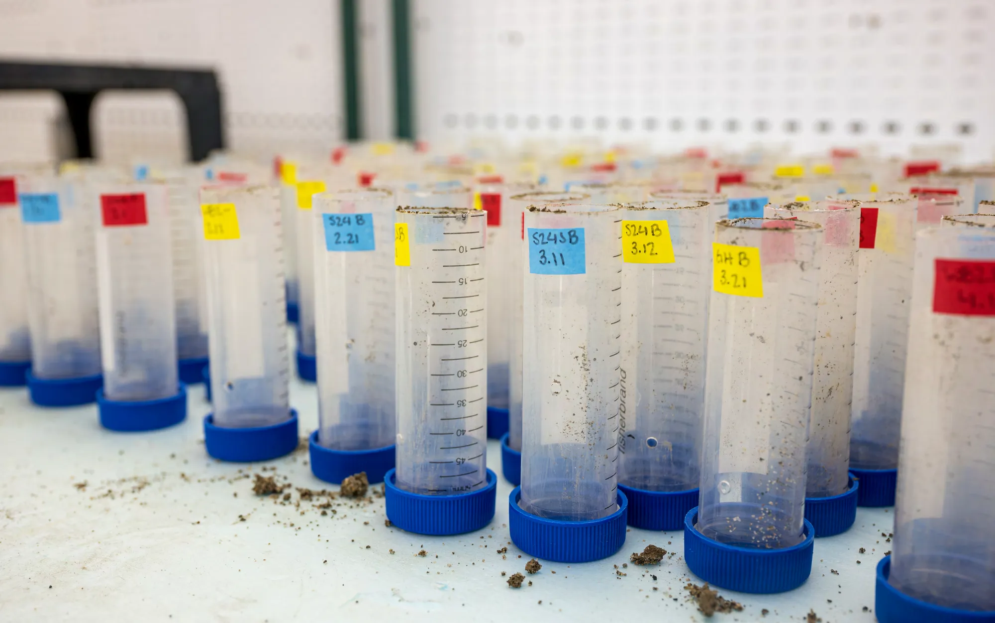 Rows of labeled soil samples arranged in a laboratory, with measurement markings, identification labels, and soil residue visible.