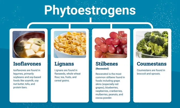 Phytoestrogens image 