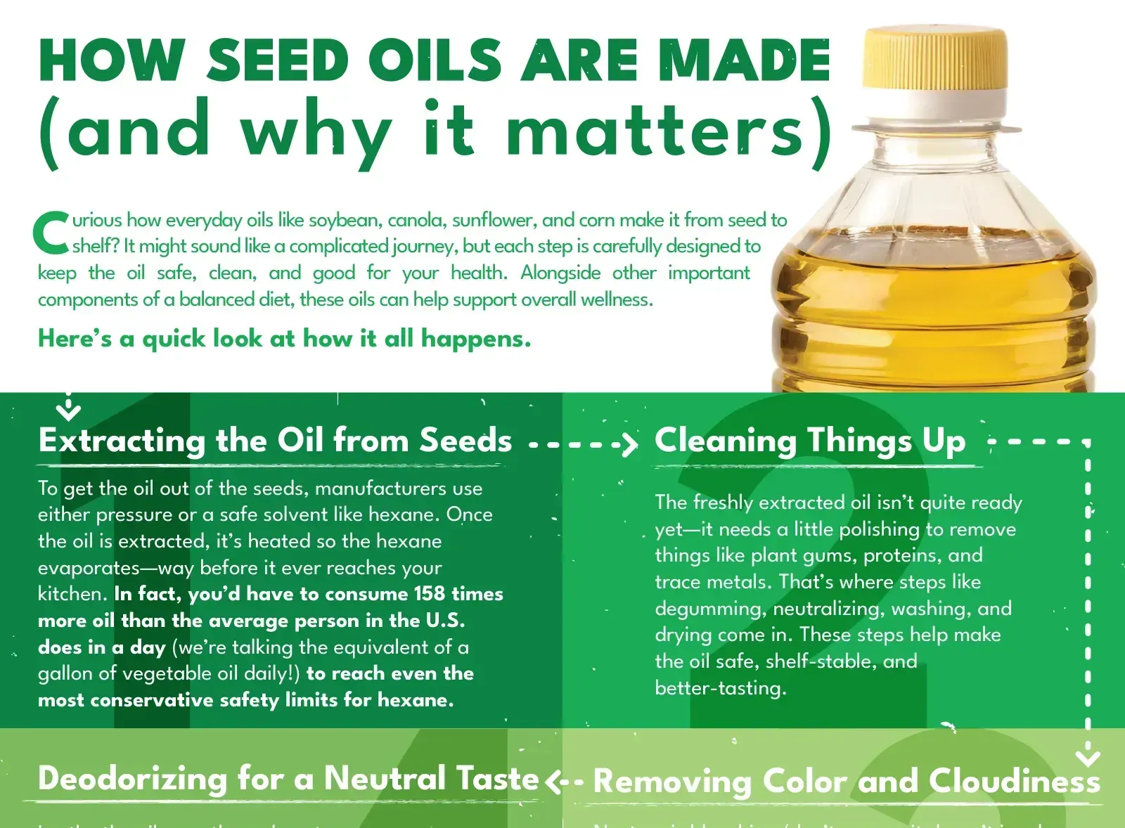 Thumbnail of PDF for how seed oils are made