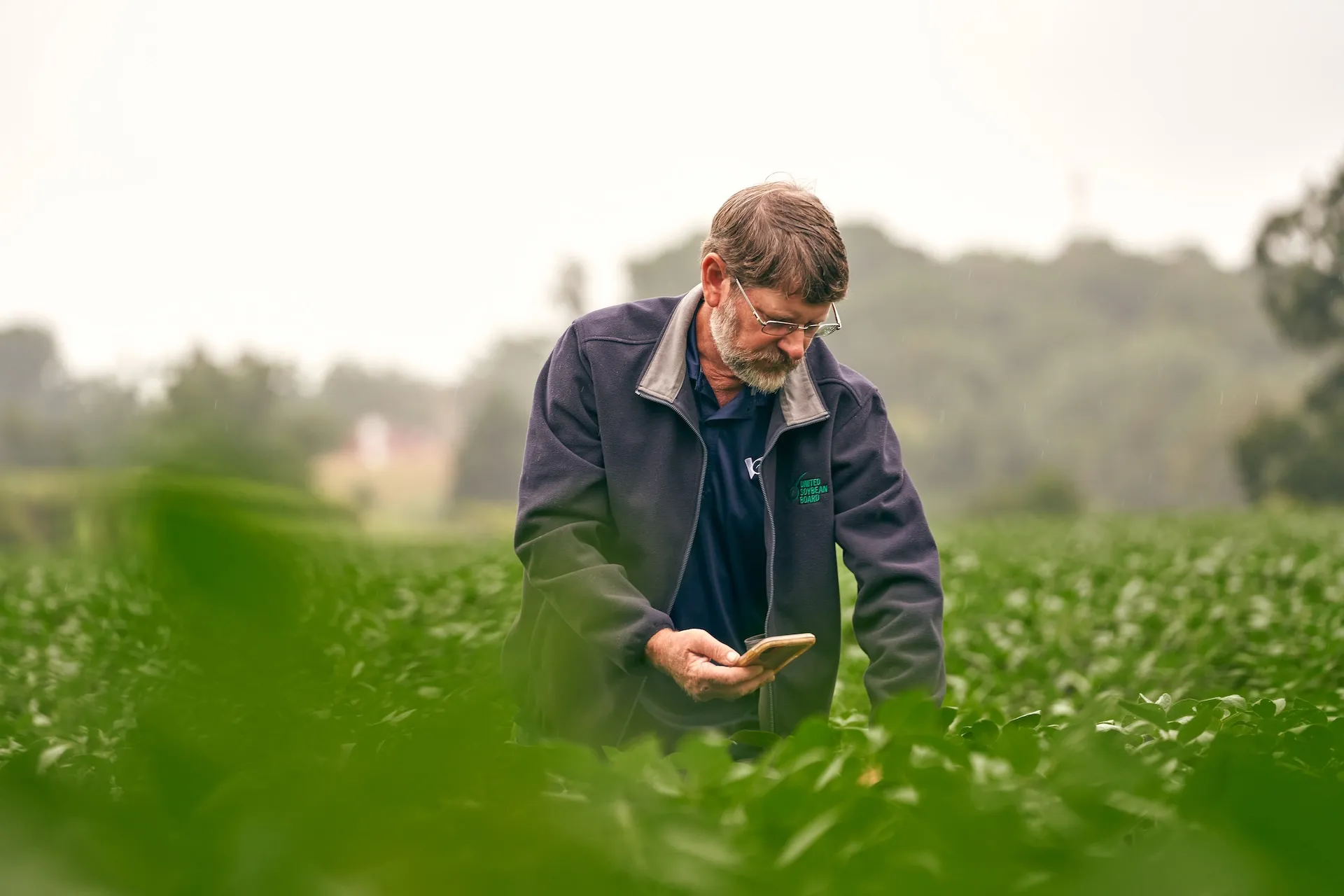 A farmer inspects his soy field