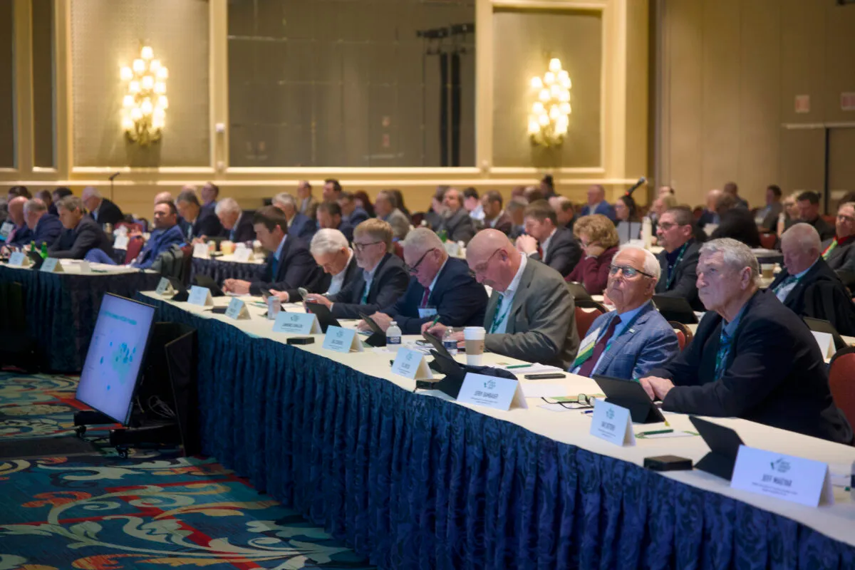 Soy Checkoff board members gather for a board meeting.