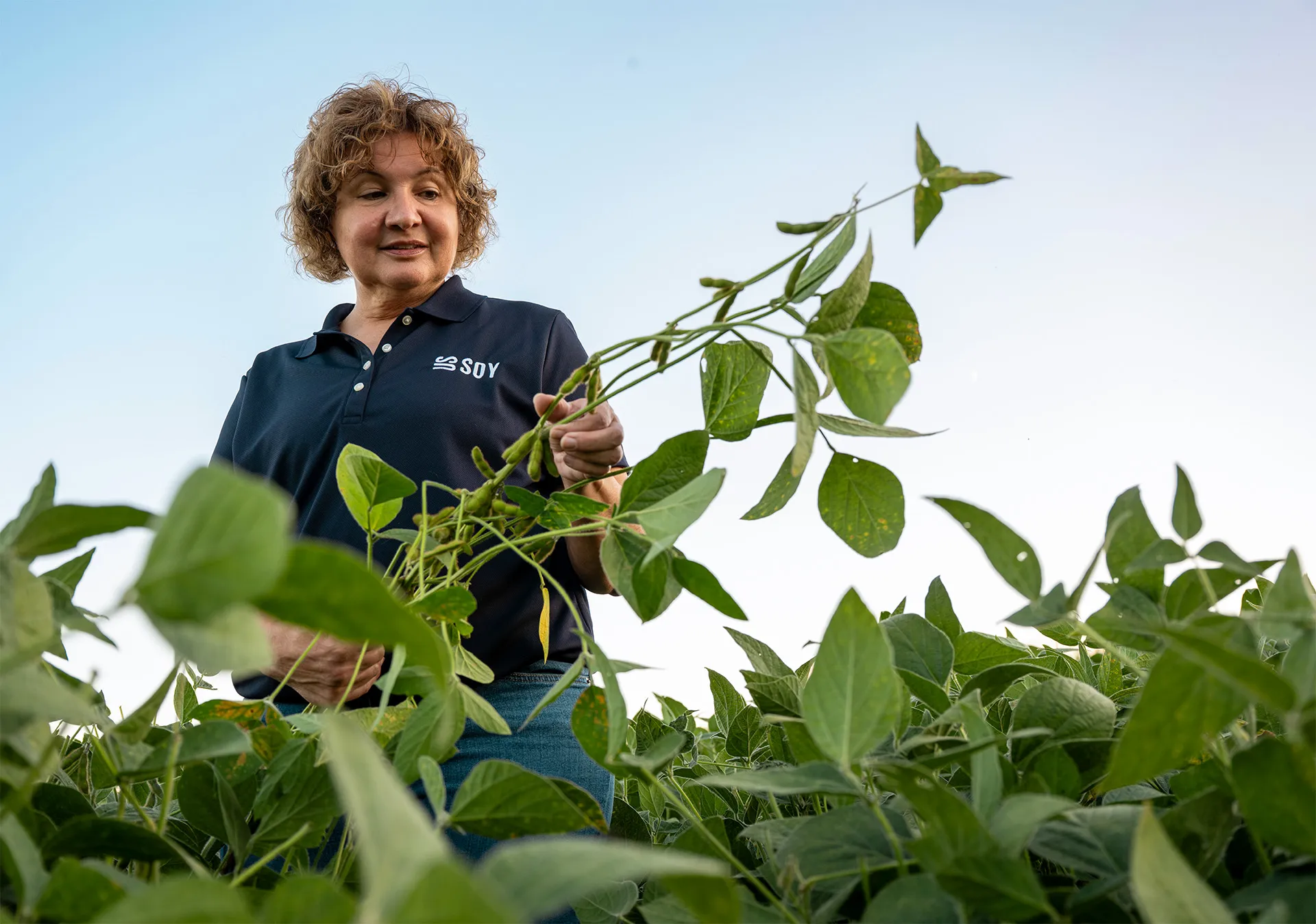 A woman farmer in a field holding a growing soy plant
