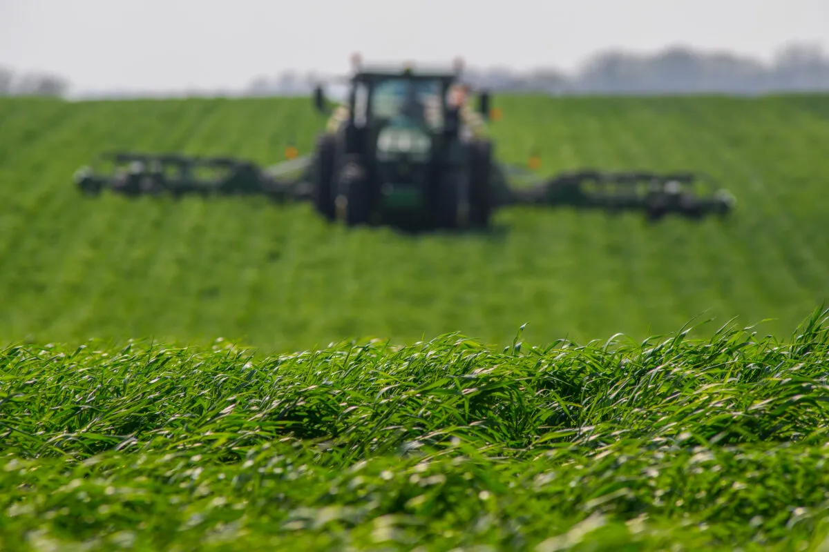Farm tractor working across rows of lush green crops in a large agricultural field.