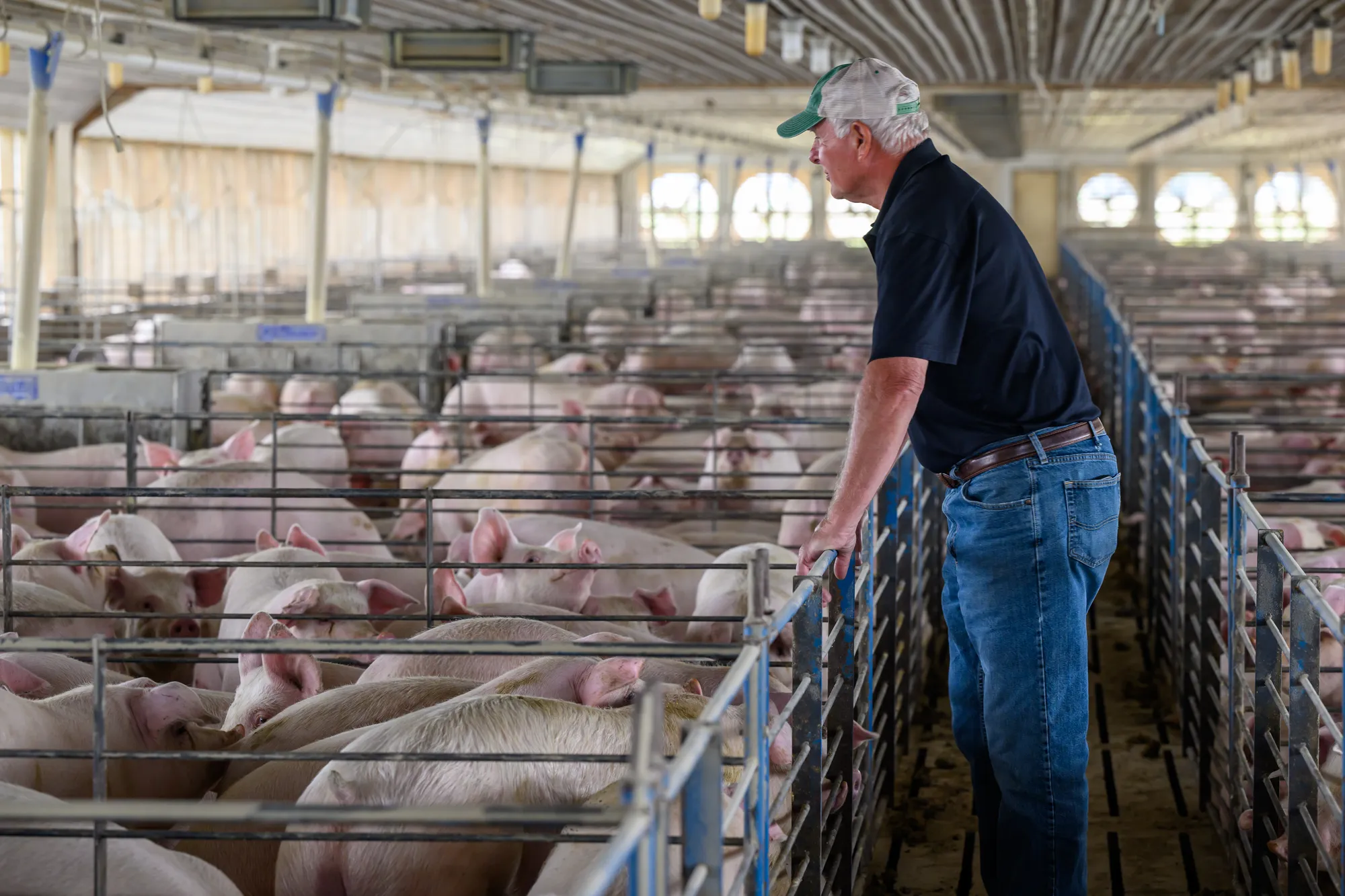Soy Checkoff℠ Cost-Share Program Made Cover Crop Adoption a Practical Decision