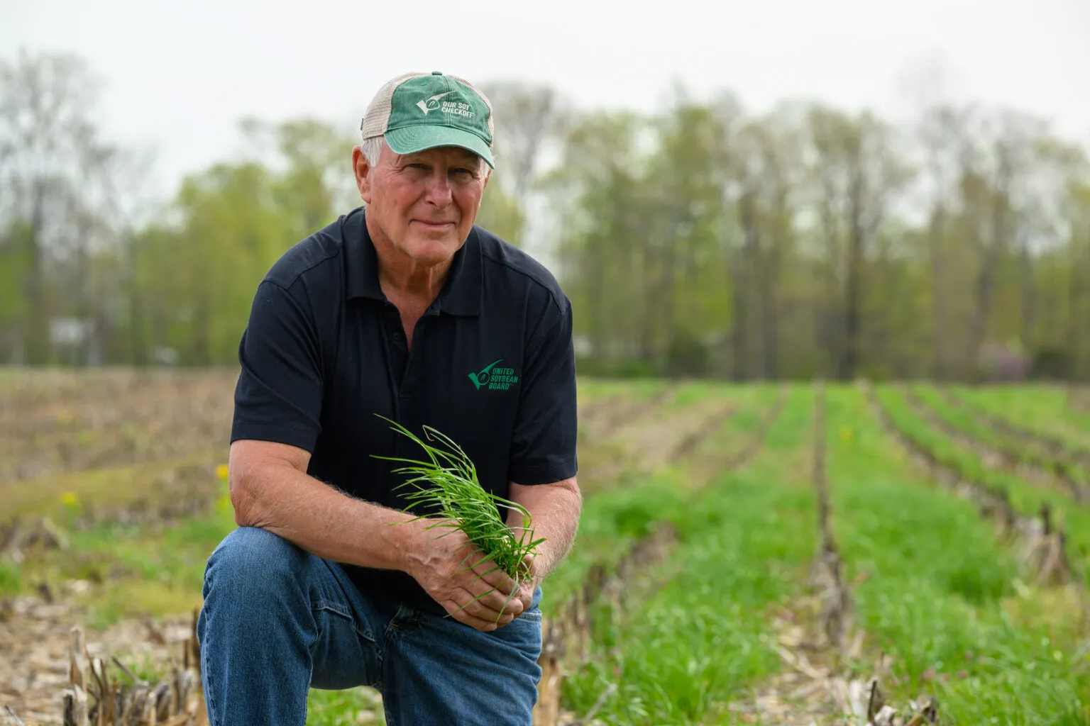 Farmer kneeling in a field and holding a handful of green cover crops.