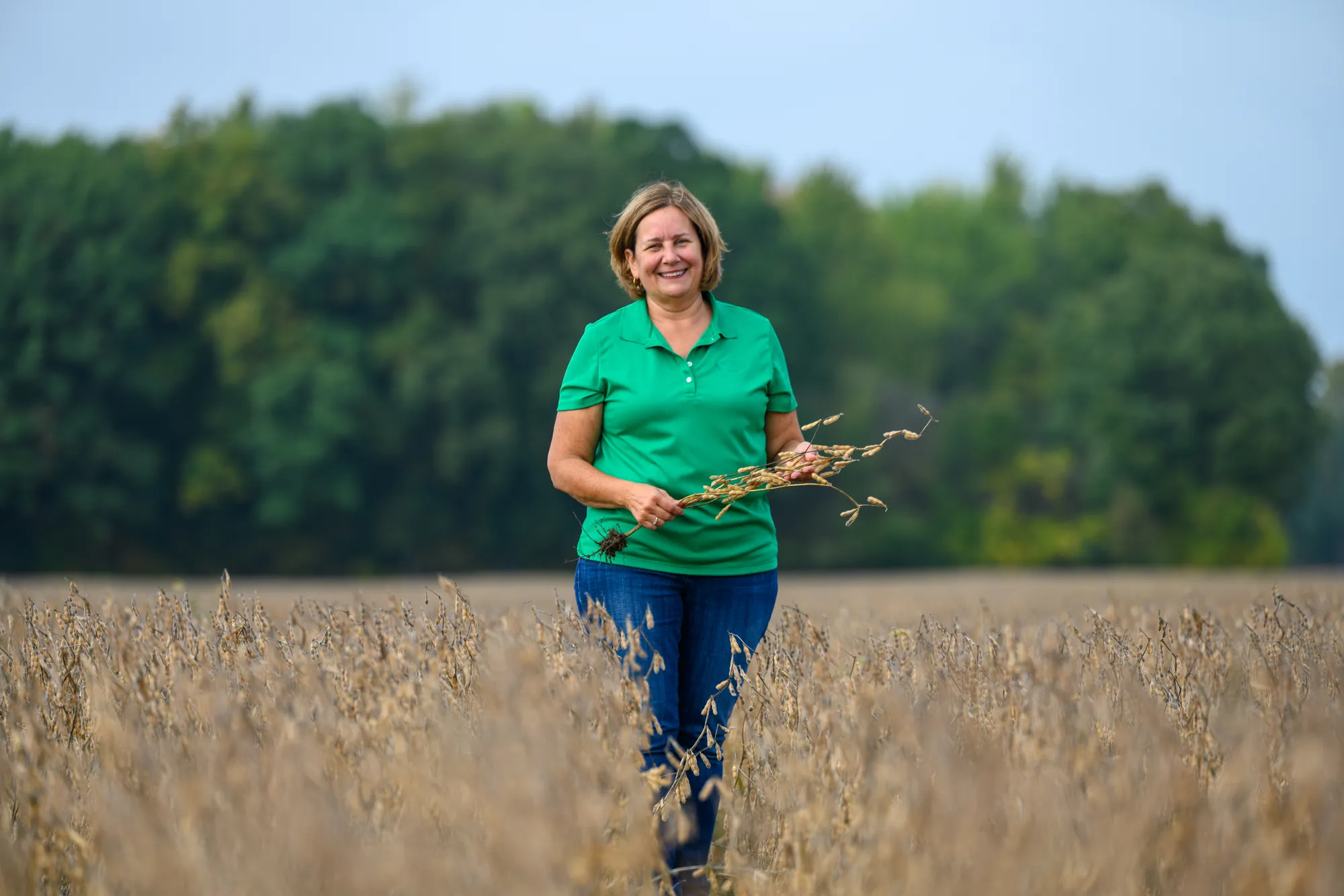 U.S. soybean farmer standing in a field of mature soybean plants at harvest time.