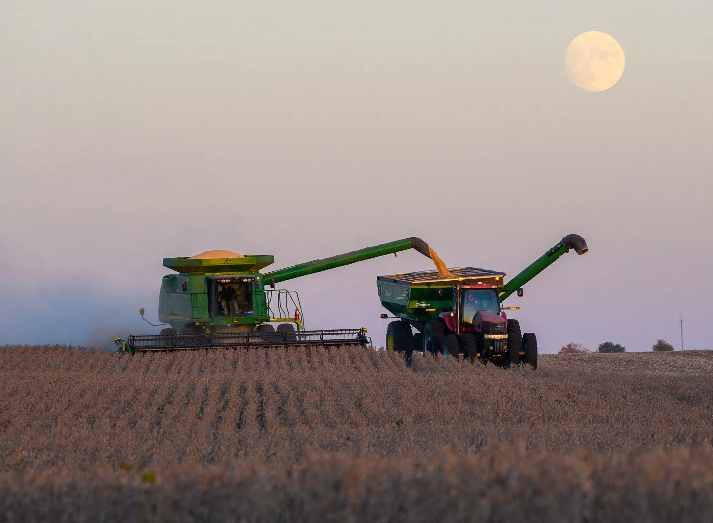 A combine harvester unloading grain into a tractor cart in a soybean field at dusk, with the full moon rising in the sky.