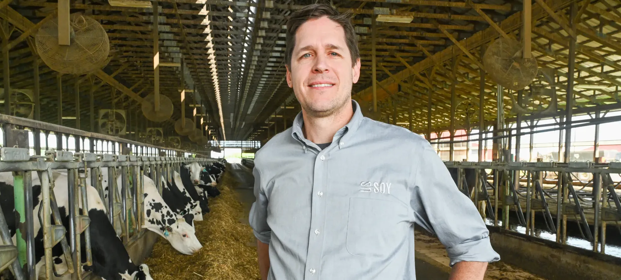 Smiling man wearing U.S. Soy shirt stands beside black-and-white dairy cows inside a barn.