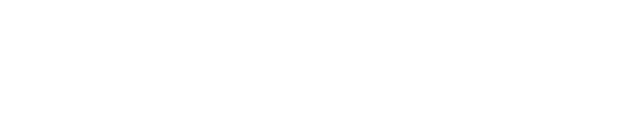 Soy Connection logo