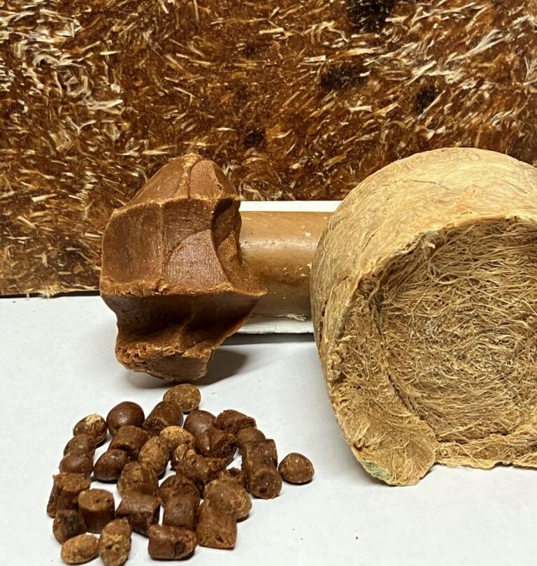 Various soy-based material prototypes, including pellets, molded plastic pieces, and a fibrous composite panel.