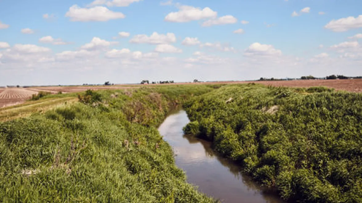 Grassy waterway running through a soybean farm field under a blue sky, illustrating sustainable land management.