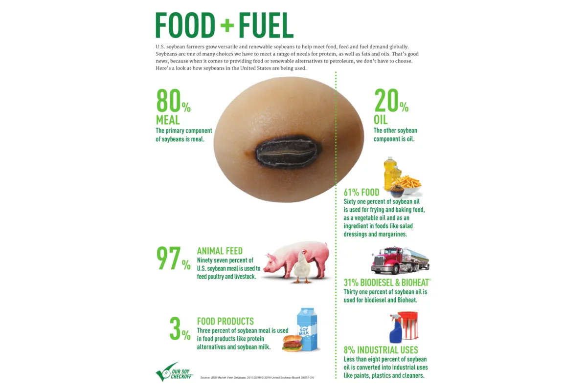 “Food + Fuel” infographic showing how U.S. soybeans are used. Soybeans consist of approximately 80% meal and 20% oil. Soybean meal is primarily used for animal feed, with a smaller share used in food products, while soybean oil is used for food, biodiesel and Bioheat®, and industrial products such as paints, plastics and cleaners.
