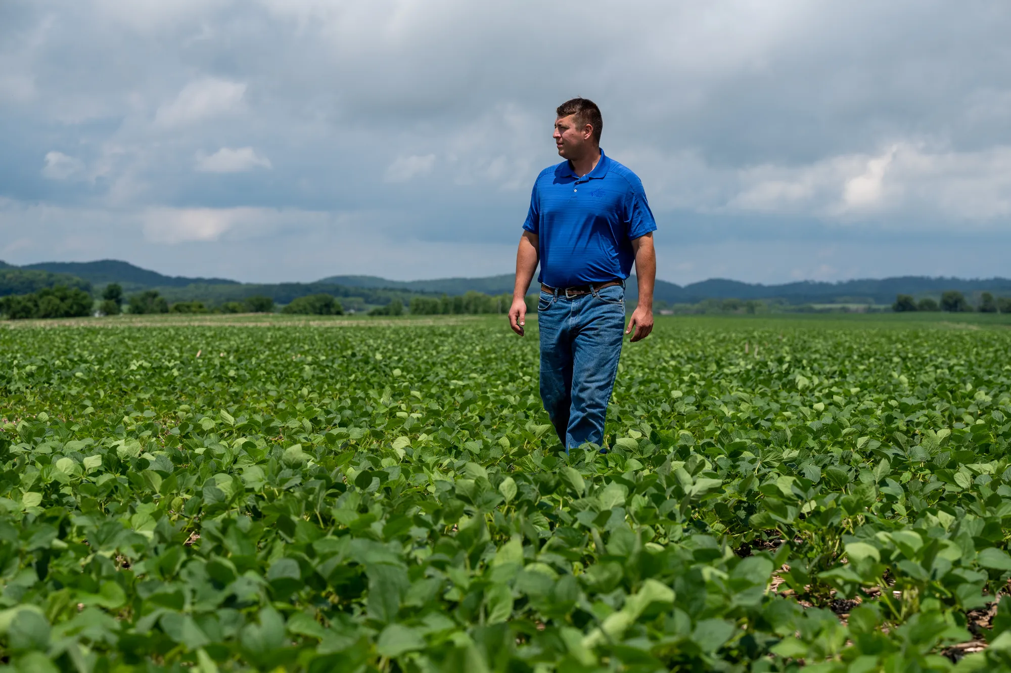 Farmer walking through a mature soybean field, surveying crop growth with rolling hills and cloudy skies in the background.