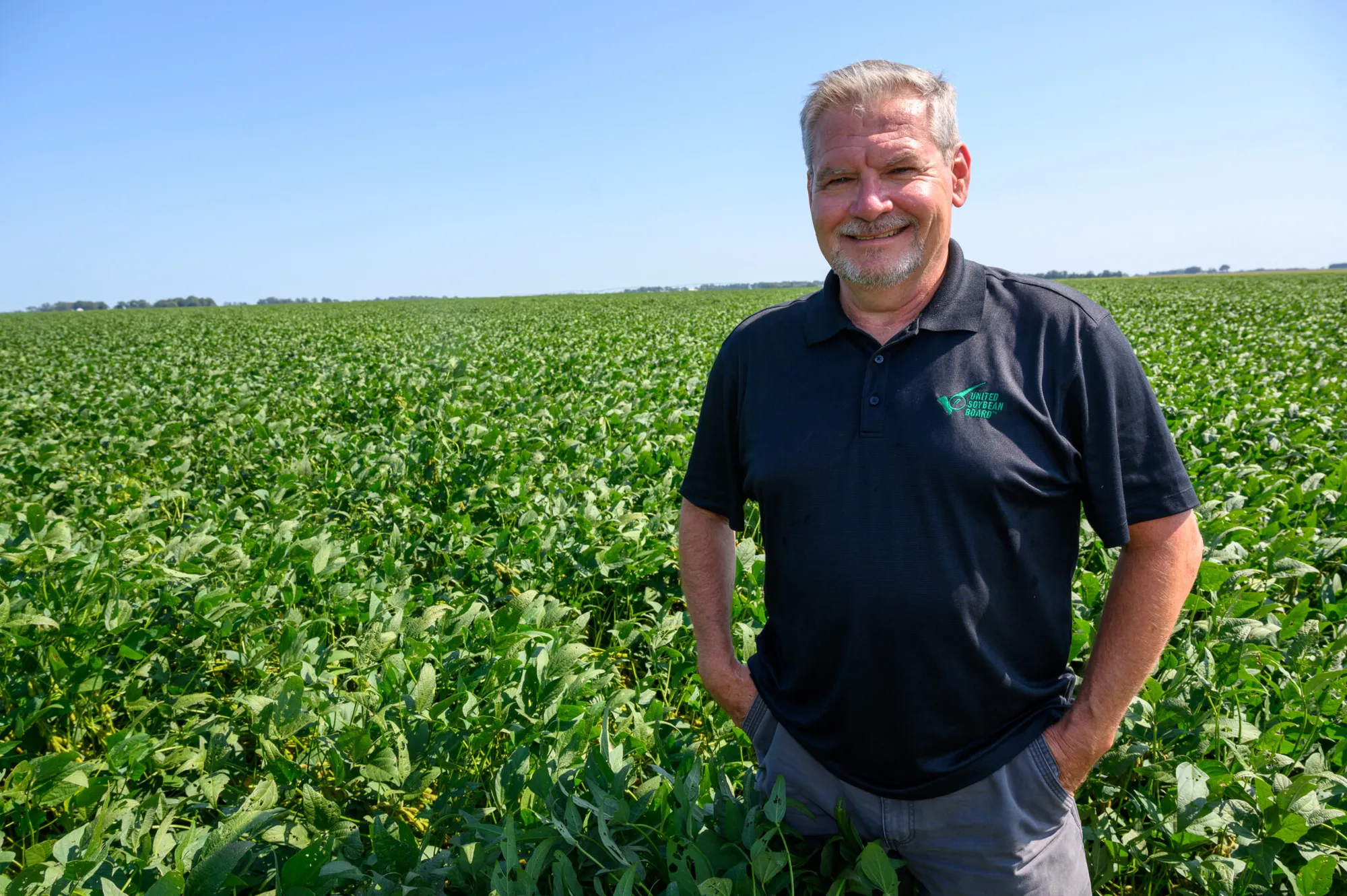 United Soybean Board Chair Philip Good smiles in a soybean field.