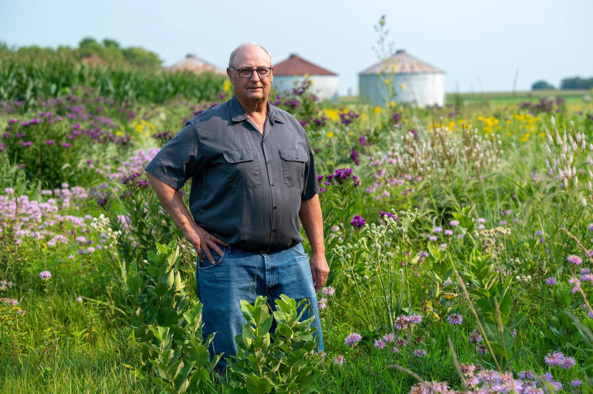 Iowa farmer with pollinator habitat that he planted and is an advocate for