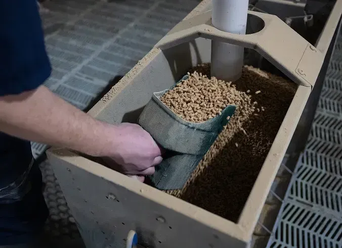Using a scoop