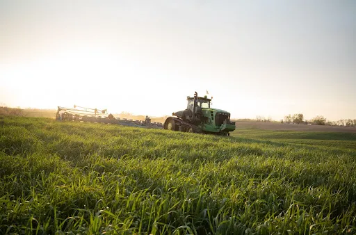 Tractor operating in a field of green cover crops or grasses at sunrise or sunset.