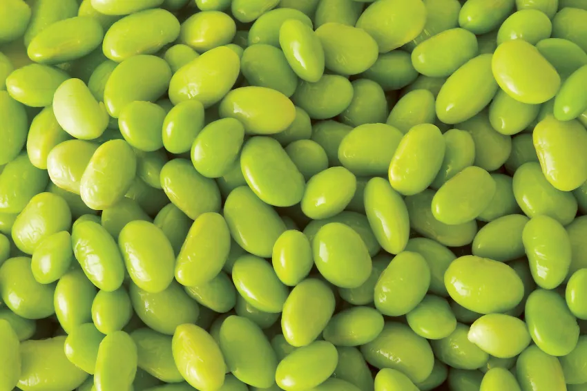 Close-up of bright green shelled edamame soybeans filling the frame.