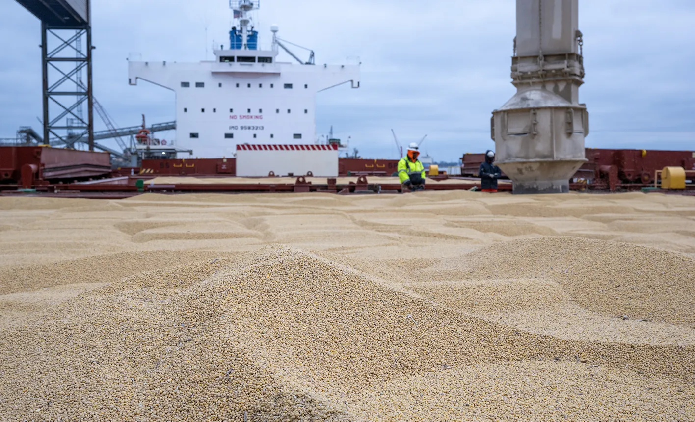 Soybeans loaded at a port export facility, with a cargo ship, workers, and grain-handling equipment visible in the background.
