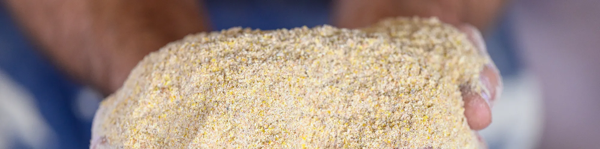 Close-up of a person holding a handful of fine grain soybean meal or feed ingredient.