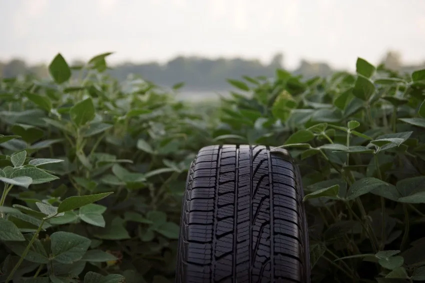 Close-up of a black Goodyear vehicle tire with detailed tread positioned upright among green soybean plants in a field.