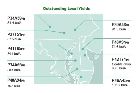 Map infographic showing outstanding local soybean yields by Pioneer variety, ranging from 68.3 to 103.2 bushels per acre.