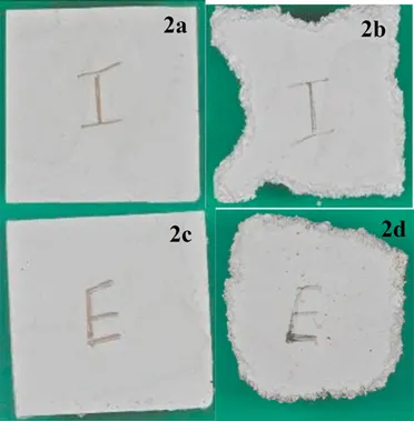 Four PVC plastic test plaques shown before and after mouse exposure. Standard PVC and PVC containing U.S. soybean oil both show substantial gnawing damage after exposure, with rough, chewed edges and material loss.