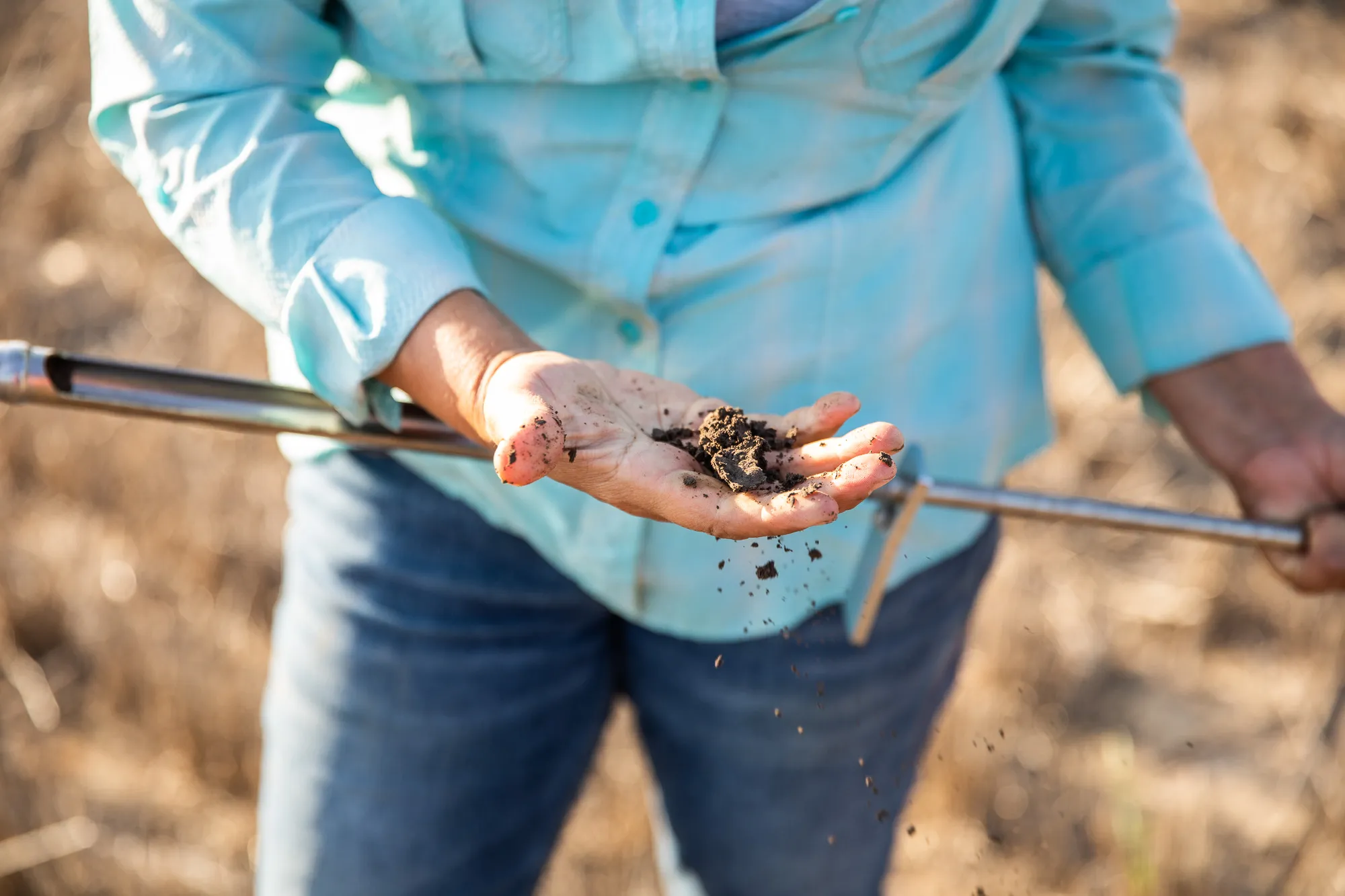 Close-up view of a farmer holding soil in hand.