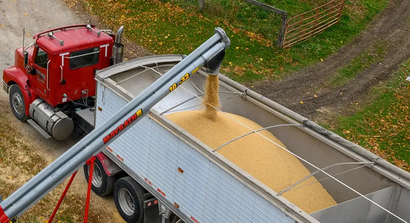 Aerial view of soybeans being loaded into a grain truck from an auger, with harvested grain filling the trailer on a farm.