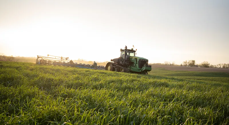 Tractor operating in a field of green cover crops or grasses at sunset.