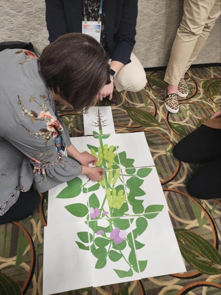 Participants assembling a large illustrated puzzle of a soybean plant.