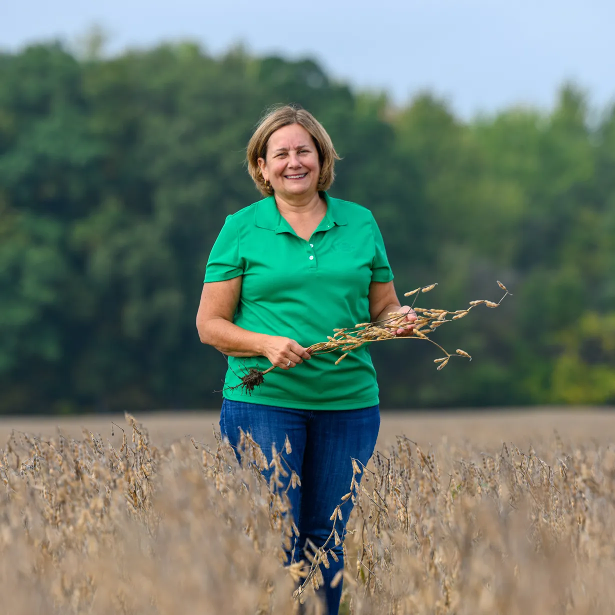 U.S. soybean farmer standing in a field of mature soybean plants at harvest time.
